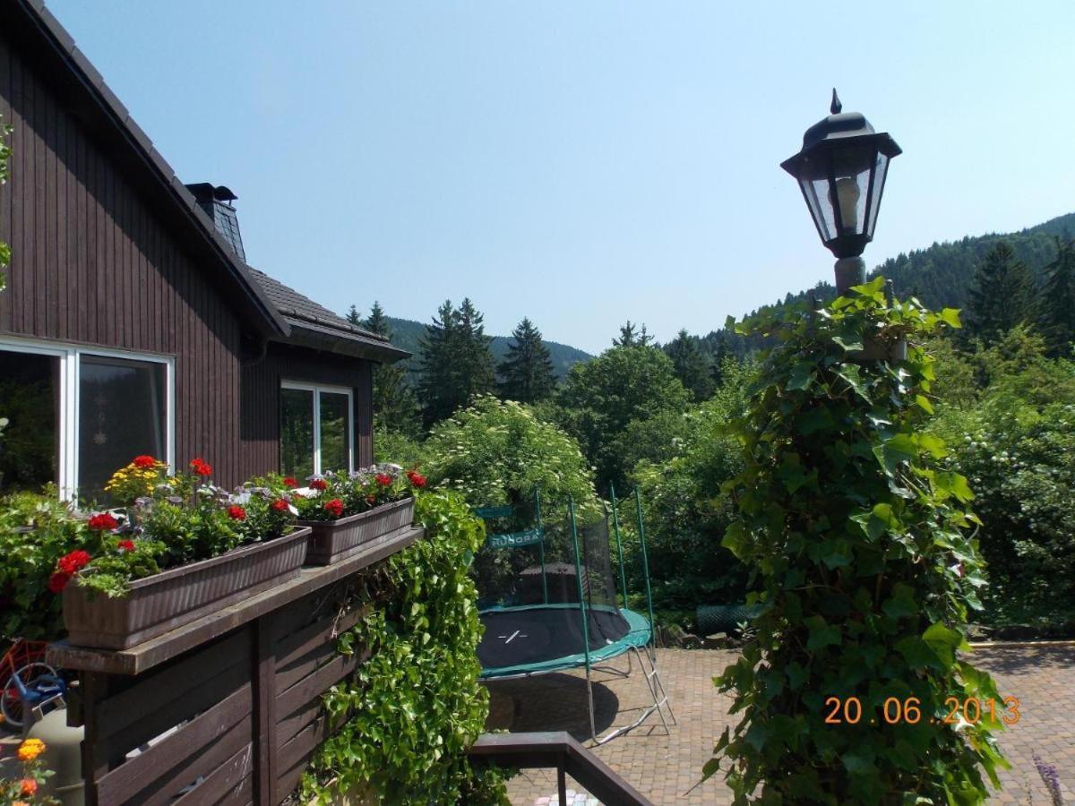 Gaestezimmer Haus Talblick Lautenthal Екстер'єр фото