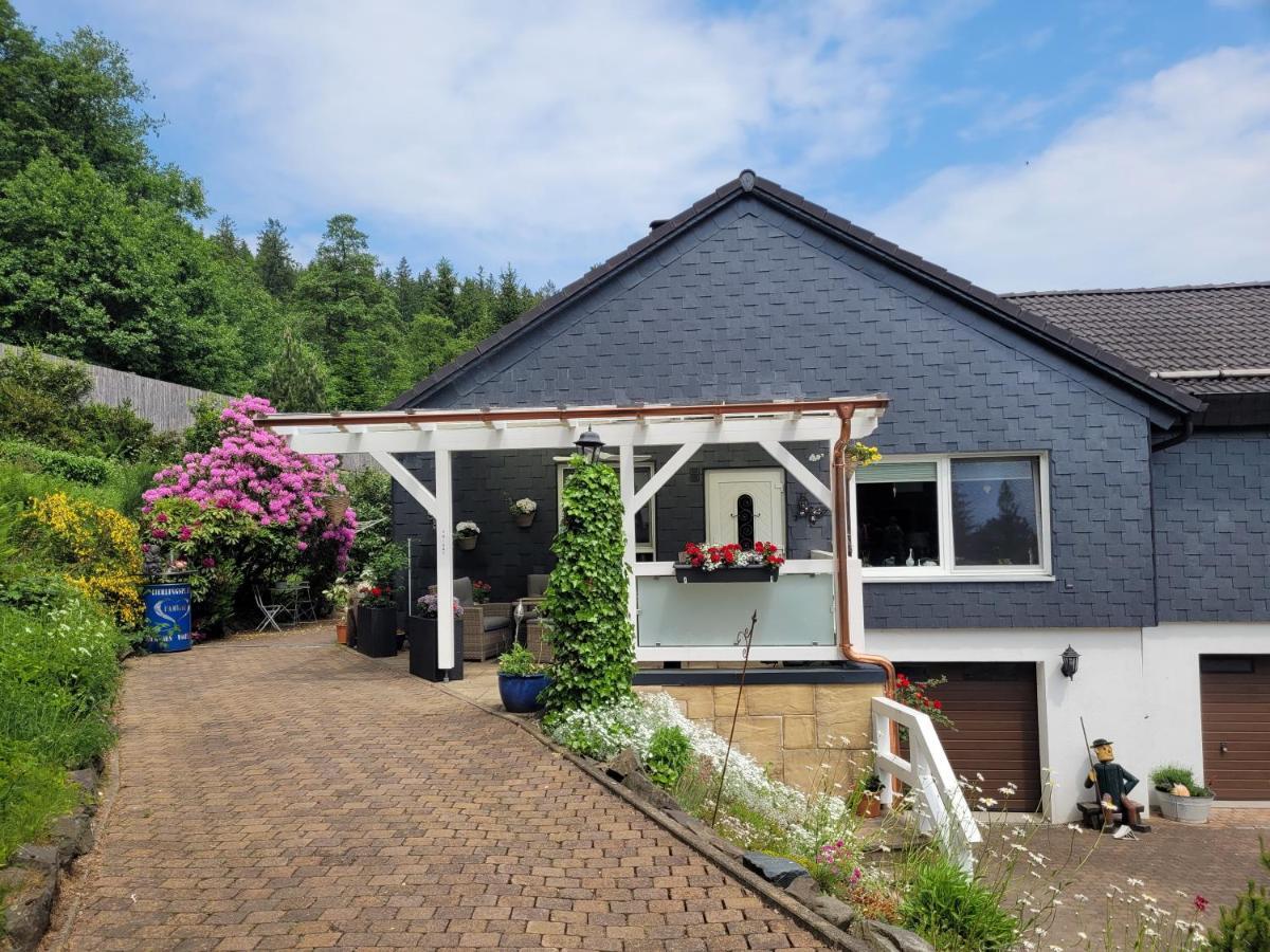 Gaestezimmer Haus Talblick Lautenthal Екстер'єр фото