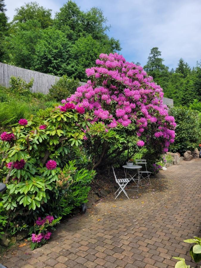Gaestezimmer Haus Talblick Lautenthal Екстер'єр фото
