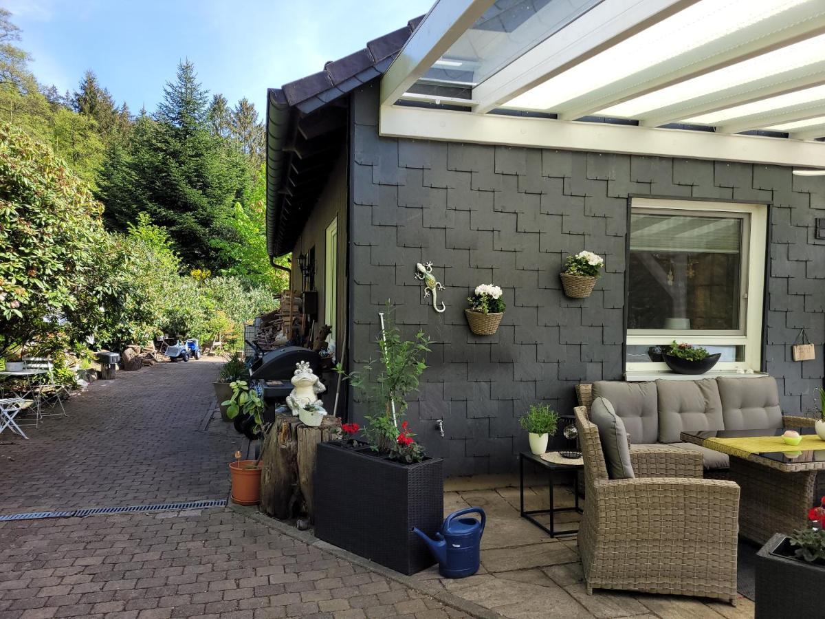 Gaestezimmer Haus Talblick Lautenthal Екстер'єр фото