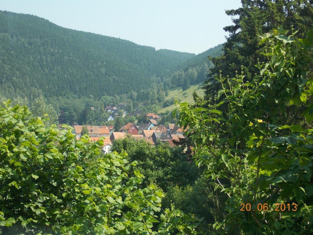 Gaestezimmer Haus Talblick Lautenthal Екстер'єр фото
